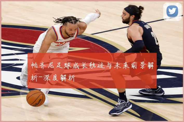 帕齐尼足球成长轨迹与未来前景解析-深度解析