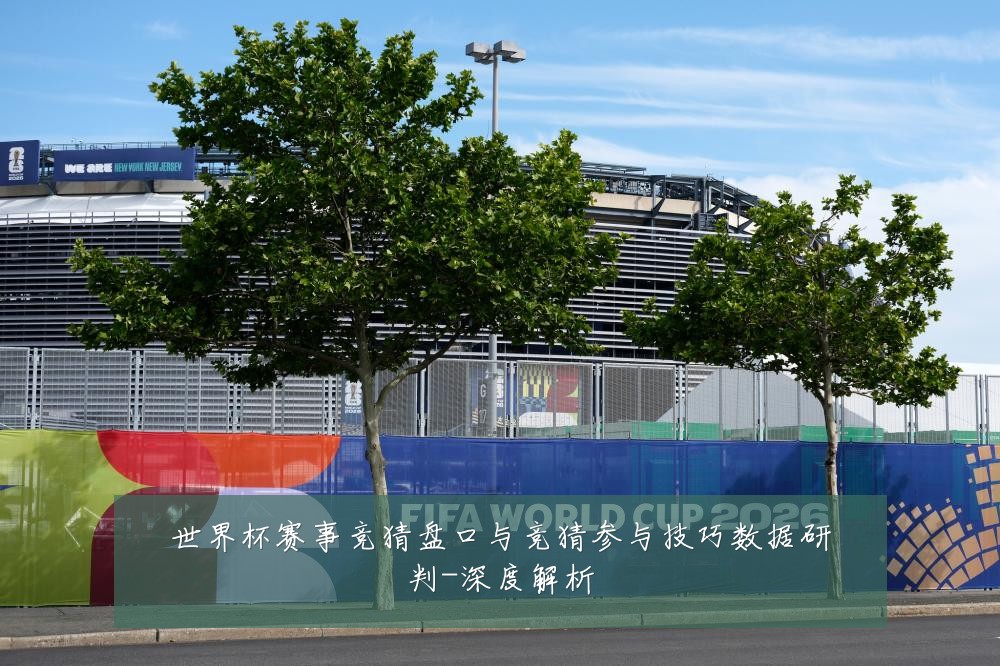 世界杯赛事竞猜盘口与竞猜参与技巧数据研判-深度解析