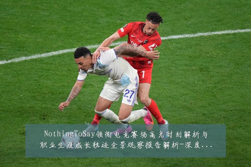 NothingToSay领衔电竞赛场高光时刻解析与职业生涯成长轨迹全景观察报告解析-深度解析